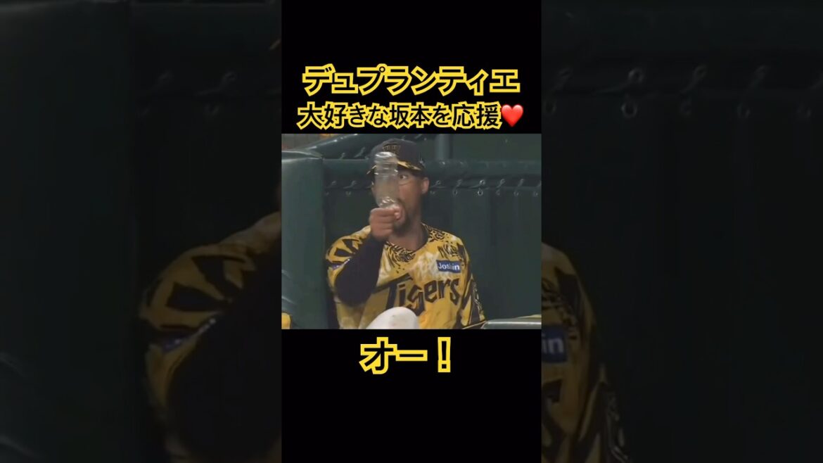 【阪神タイガース】デュプランティエ、大好きな坂本誠志郎を応援 #阪神 #坂本 #応援 #shorts
