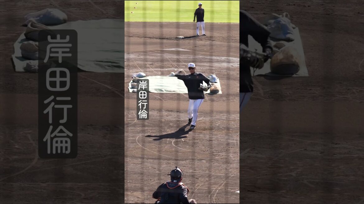 【巨人】やっぱり山瀬慎之助の肩は凄い！？ #shorts #baseball #sports #ジャイアンツ #巨人 #プロ野球