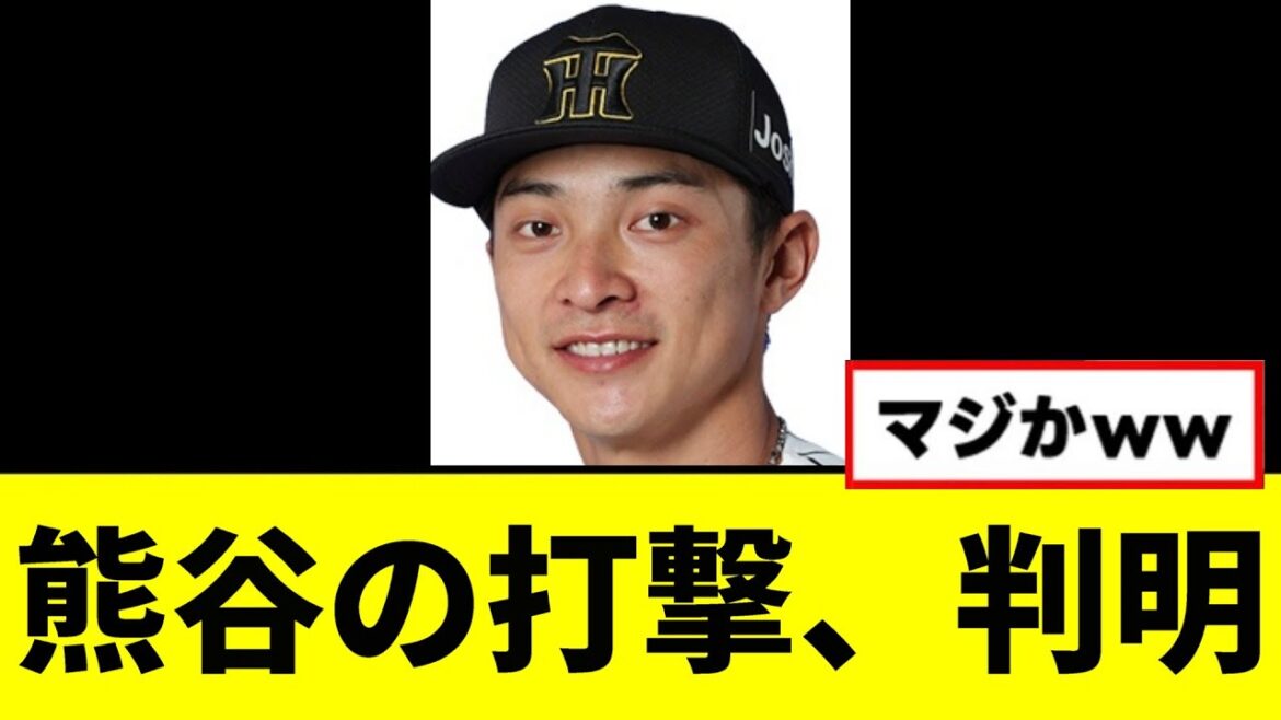 【朗報】熊谷の打撃覚醒、理由が判明するwwwww