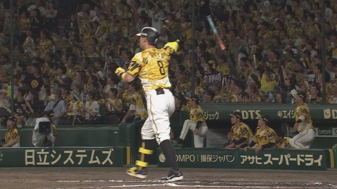 【キャリアハイ】サトテル24号！今日も勝負を決める貴重な一打！（2025年7月13日 阪神ーヤクルト） #サンテレビボックス席