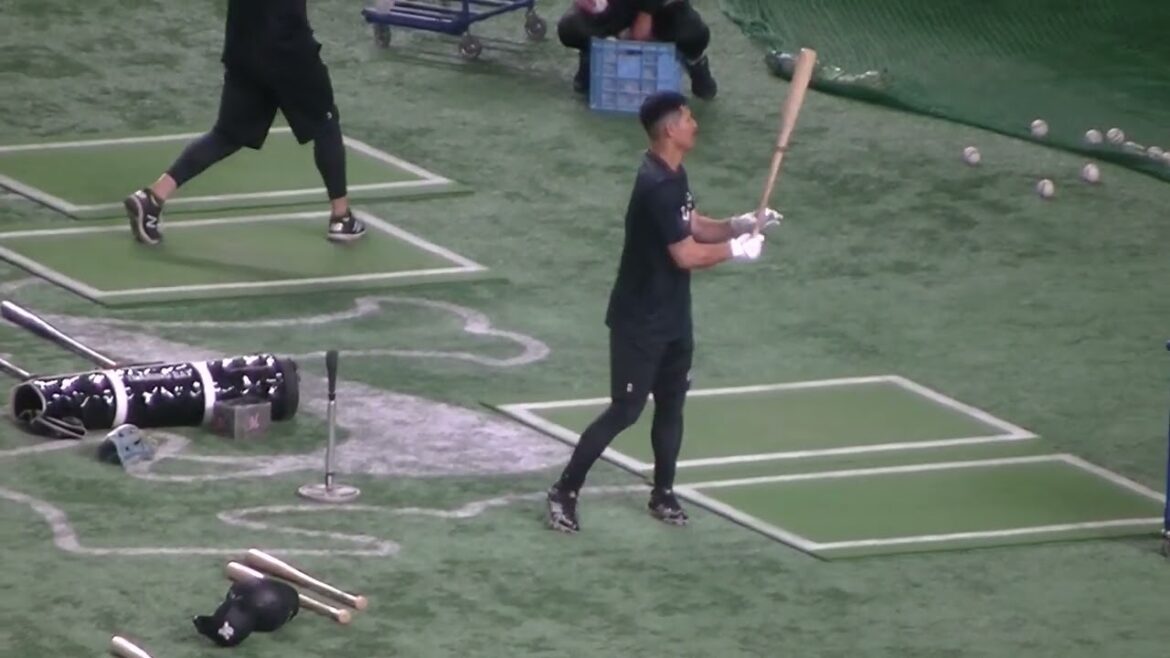 【トスバッティング】ロッテ 荻野貴司のスイング（2024年6月6日 読売ジャイアンツ対 千葉ロッテマリーンズ）