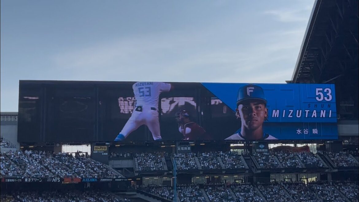 2025 ファイターズ 水谷瞬 登場曲 ultra soul/B’z