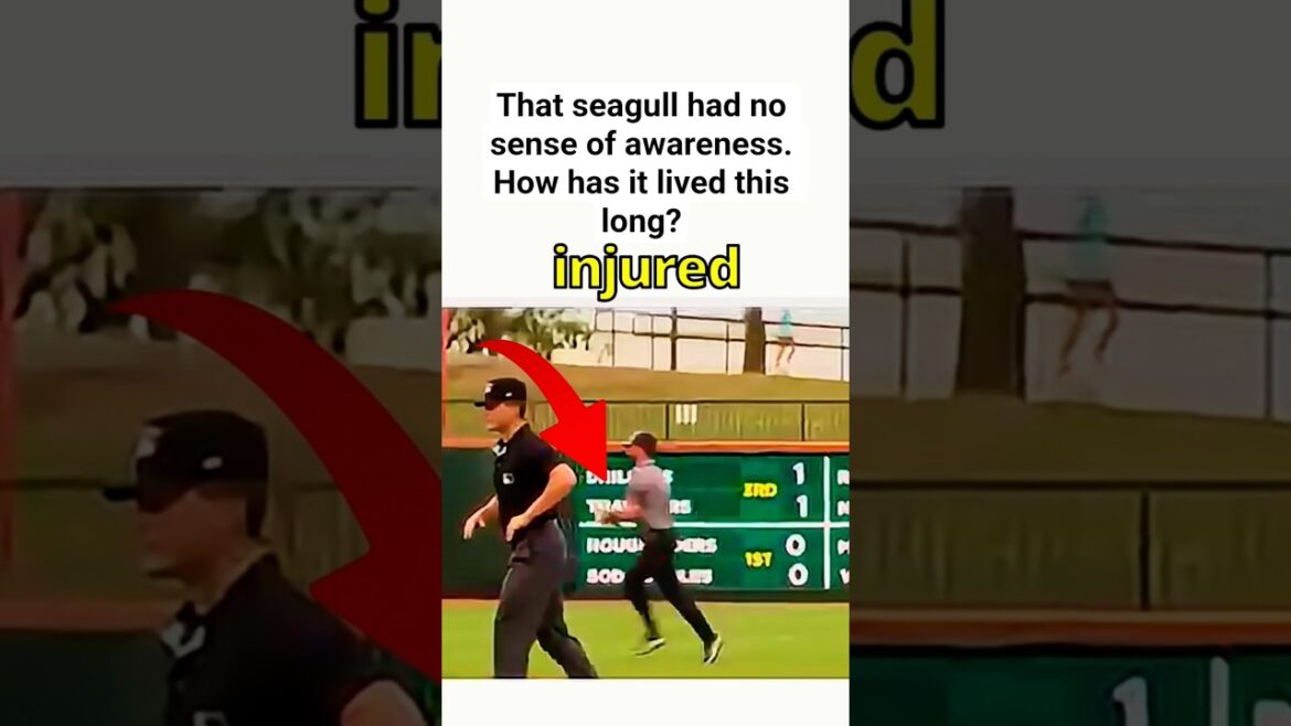 センターフィールドでプレーしようとする鳥 #野球