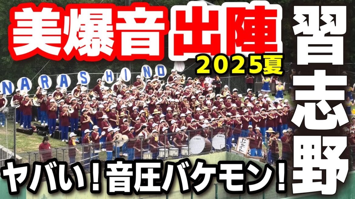 【高校野球 応援】習志野 応援メドレー　音圧バケモン美爆音軍団2025夏出陣！　１回～４回　千葉大会２回戦　習志野vs市川東　2025.7.13　第107回全国高校野球選手権　甲子園 応援団