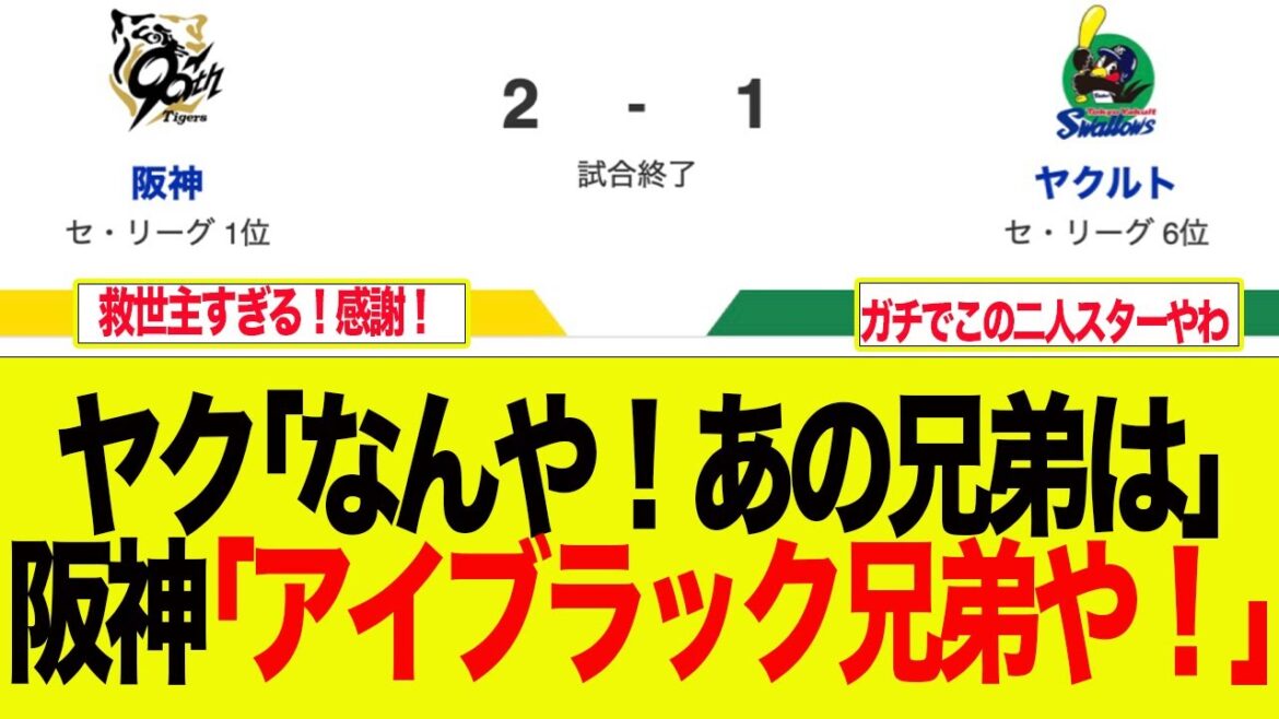 【阪神】ヤク「なんやあの兄弟は・・・」阪神「アイブラック兄弟や！」　  阪神ファンの反応集