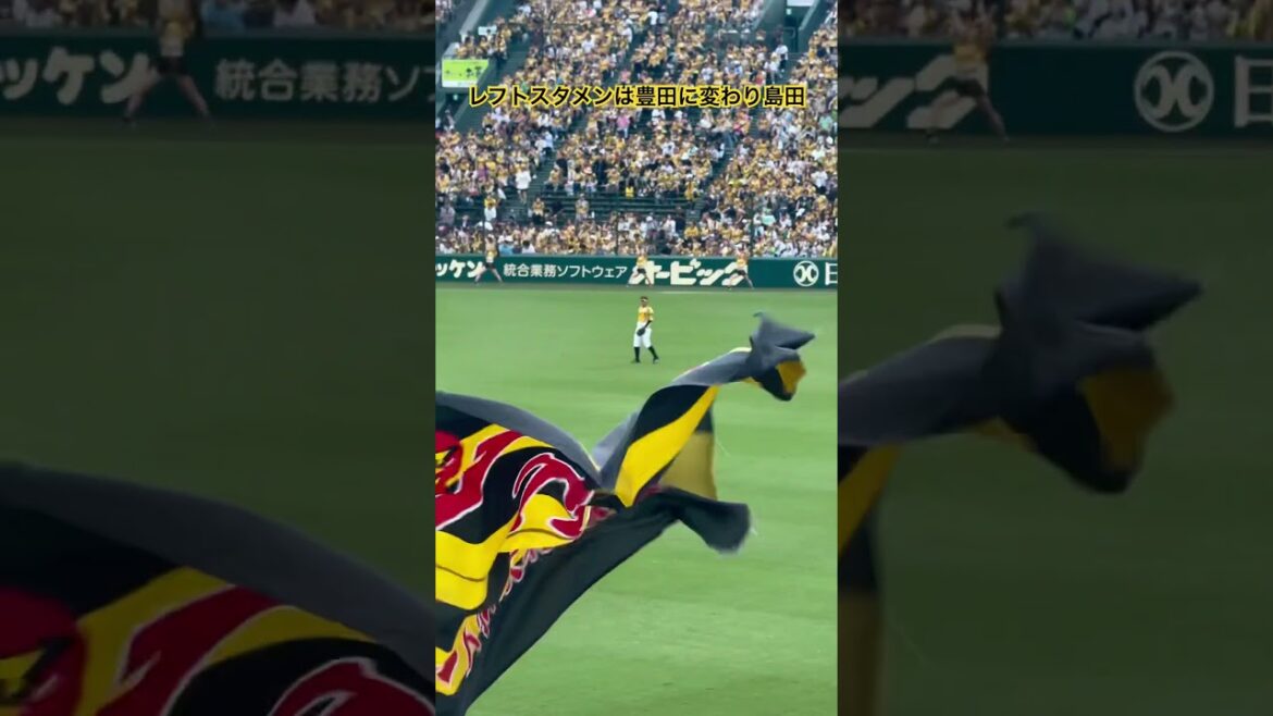 豊田抹消後のスタメンは島田 #豊田寛 #島田海吏 #阪神タイガース #プロ野球 #甲子園