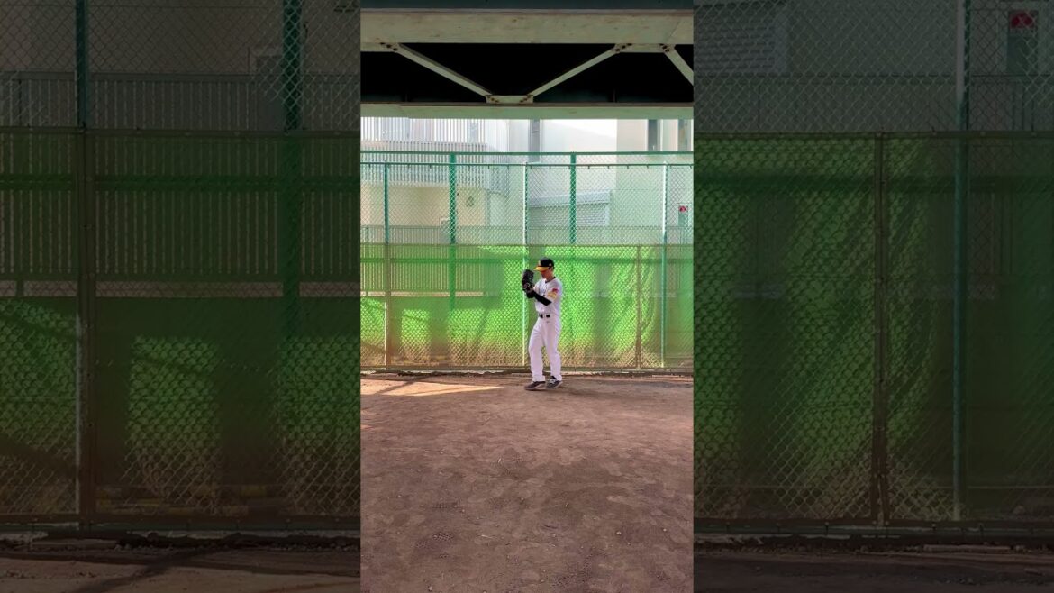 スローモーションから2倍速になる東浜巨投手