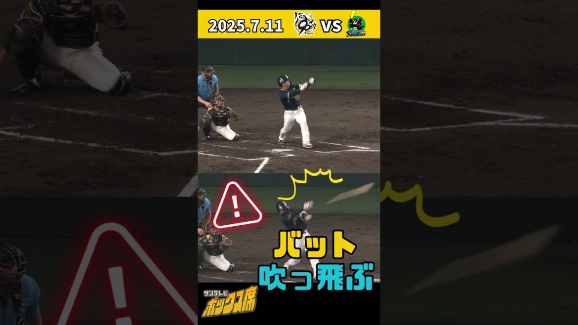 【あっと危ない！】ヤクルト内山選手のスイングでバットがベンチへ一直線 #サンテレビボックス席
