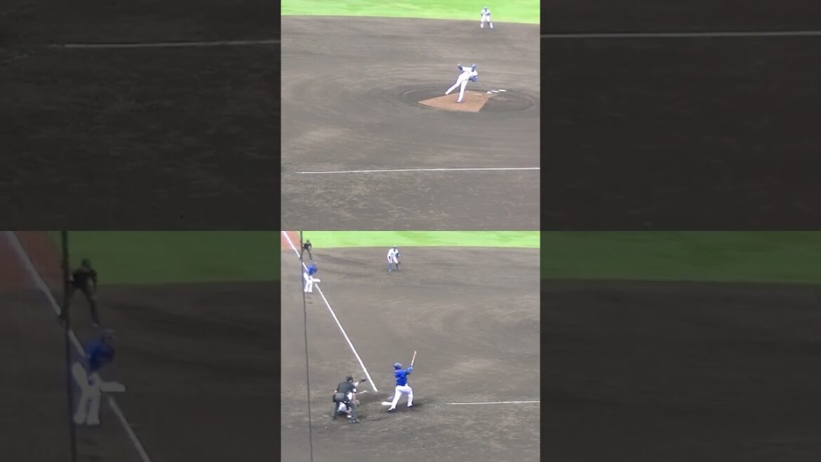 小深田大地を空振り三振にとるバーヘイゲン【日本ハムファイターズ対 横浜DeNAベイスターズ2024年5月8日】