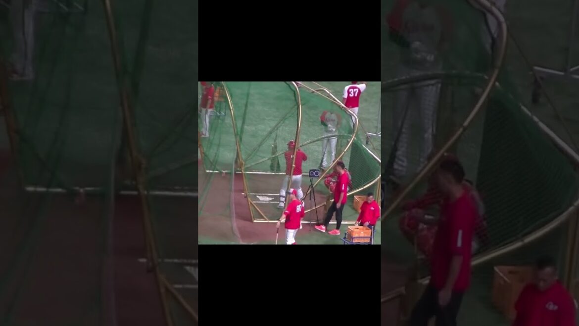 【カープ】堂林翔太のフリーバッティング（2024年6月28日読売ジャイアンツ対 広島カープ）