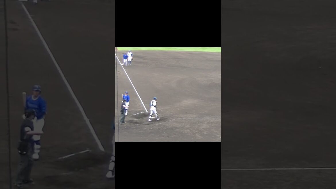 知野直人 納得行かなそうな見逃し三振【日本ハムファイターズ対 横浜DeNAベイスターズ2024年5月8日】