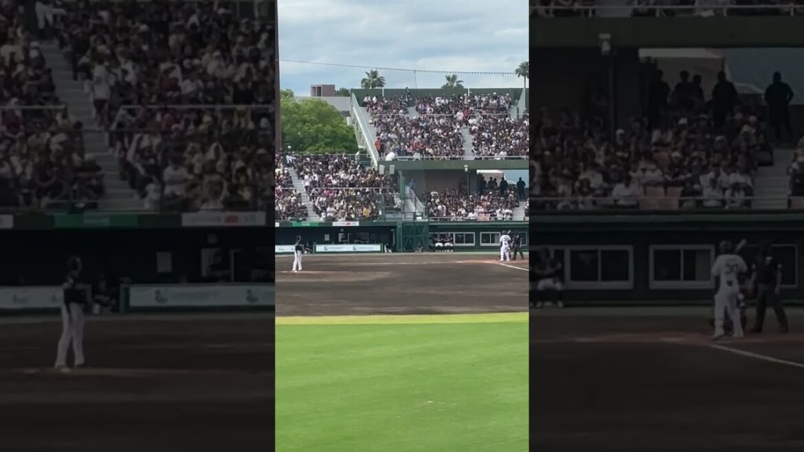 廣岡大志　応援歌　20250525