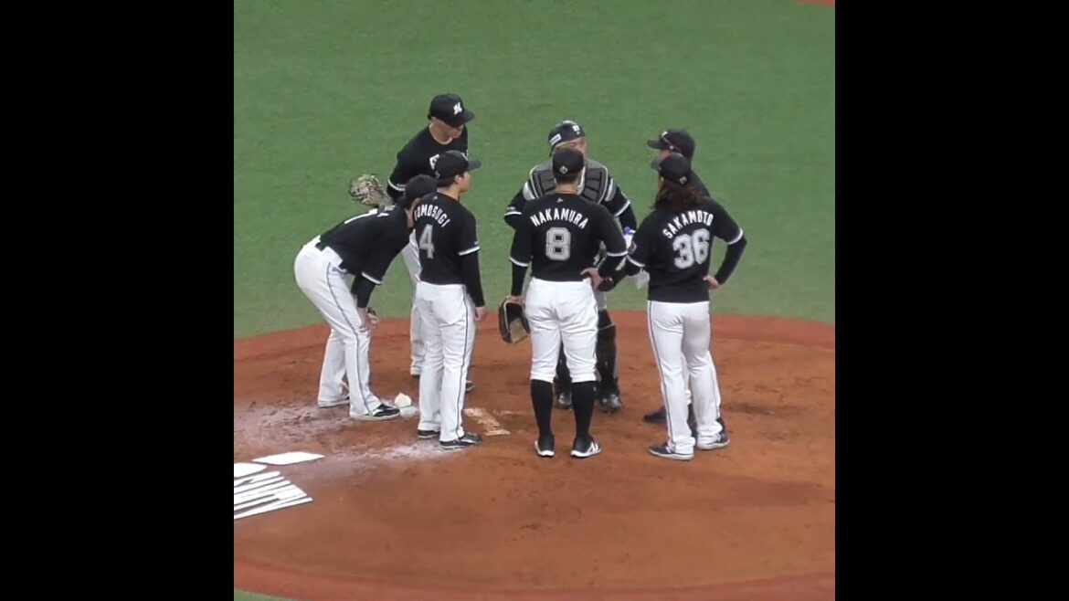 ちょっとヤベぇのでマウンド集合　#千葉ロッテマリーンズ #shorts