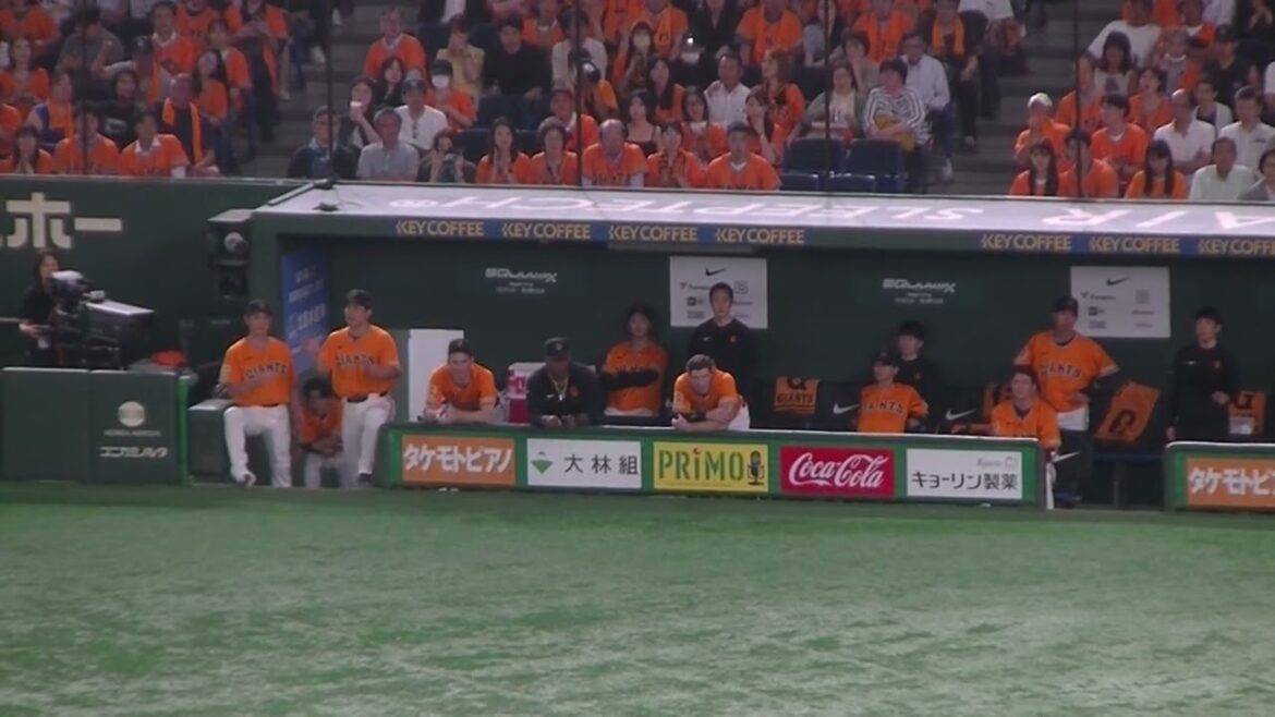 ウィーラーやキャベッジなどベンチで応援する様子＜読売ジャイアンツ対 日本ハムファイターズ2025年6月17日＞