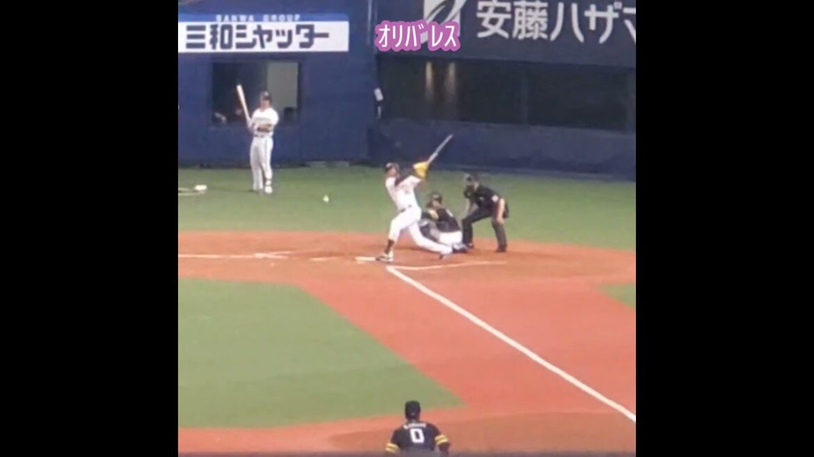 20250408　打てないｵﾘﾊﾞﾚｽ　#shorts　ｵﾘｯｸｽ･ﾊﾞﾌｧﾛｰｽﾞ@京ｾﾗﾄﾞｰﾑ大阪･ﾚﾌﾄ外野下段