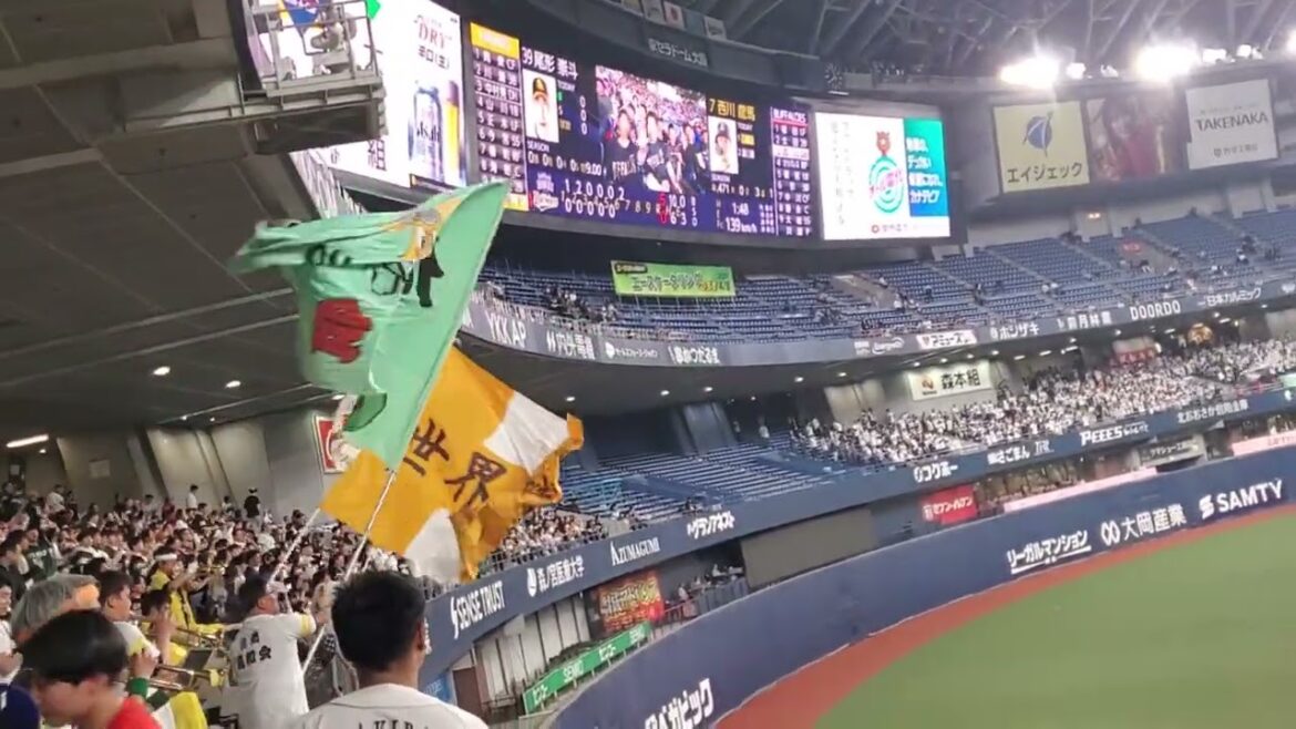 20250408 オリックス・バファローズ6回ウラ攻撃開始!反撃開始!いきなり【西川龍馬 通常の応援歌】 天賦の才@京セラドーム大阪・レフト外野下段 20250408 オリックス・バファローズ6回ウラ攻撃開始!反撃開始!いきなり【西川龍馬 通常の応援歌】 天賦の才@京セラドーム大阪・レフト外野下段