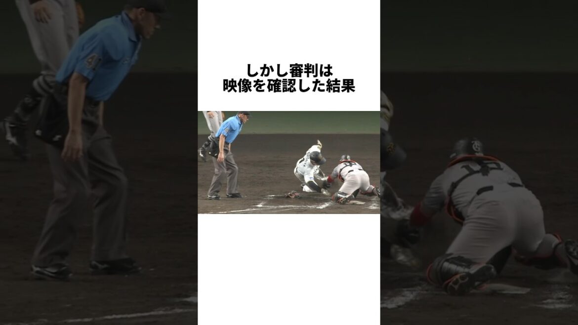 『ルール違反をした結果退場を宣告された阿部慎之助』について #shorts #プロ野球 #野球 #阪神 #巨人 #森下翔太 #甲斐拓也 #阿部慎之助 #大山悠輔 #藤川球児 #リクエスト #退場#抗議
