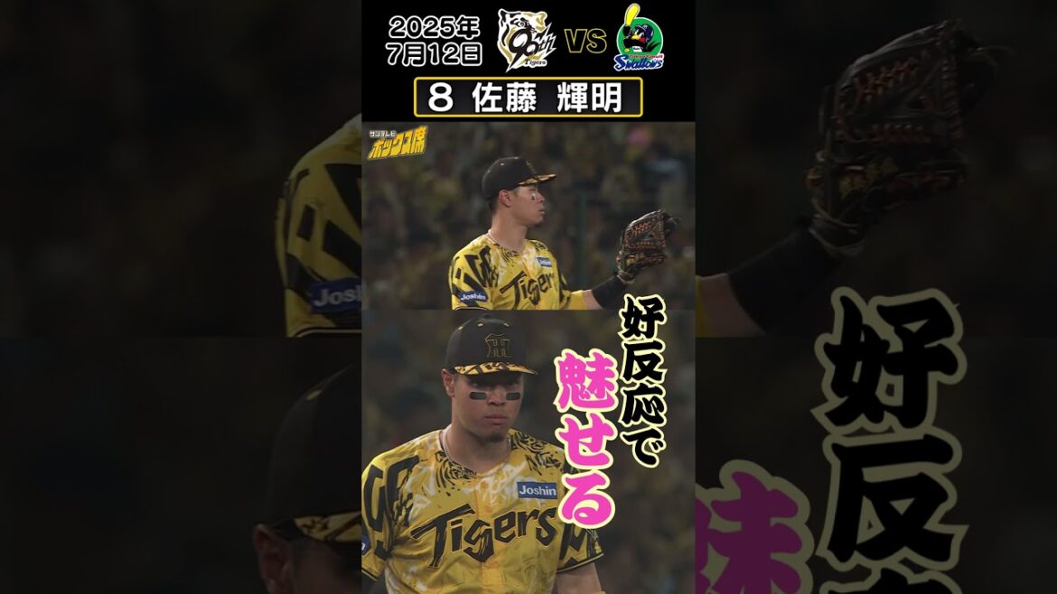 【イレギュラーもなんのその！】サトテル今日も堅い守りを披露！（2025年7月12日 阪神ーヤクルト） #サンテレビボックス席