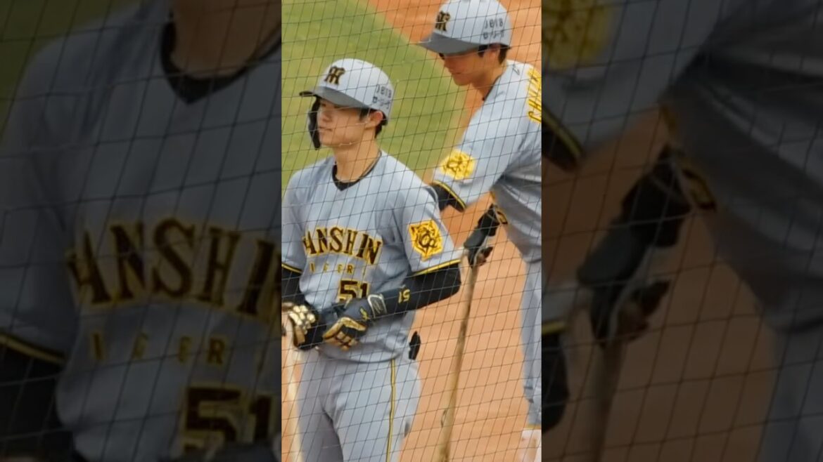 試合開始前 相手の投球練習に合わせてタイミングを取る近本中野の1.2番コンビ 試合開始前 相手の投球練習に合わせてタイミングを取る近本中野の1.2番コンビ