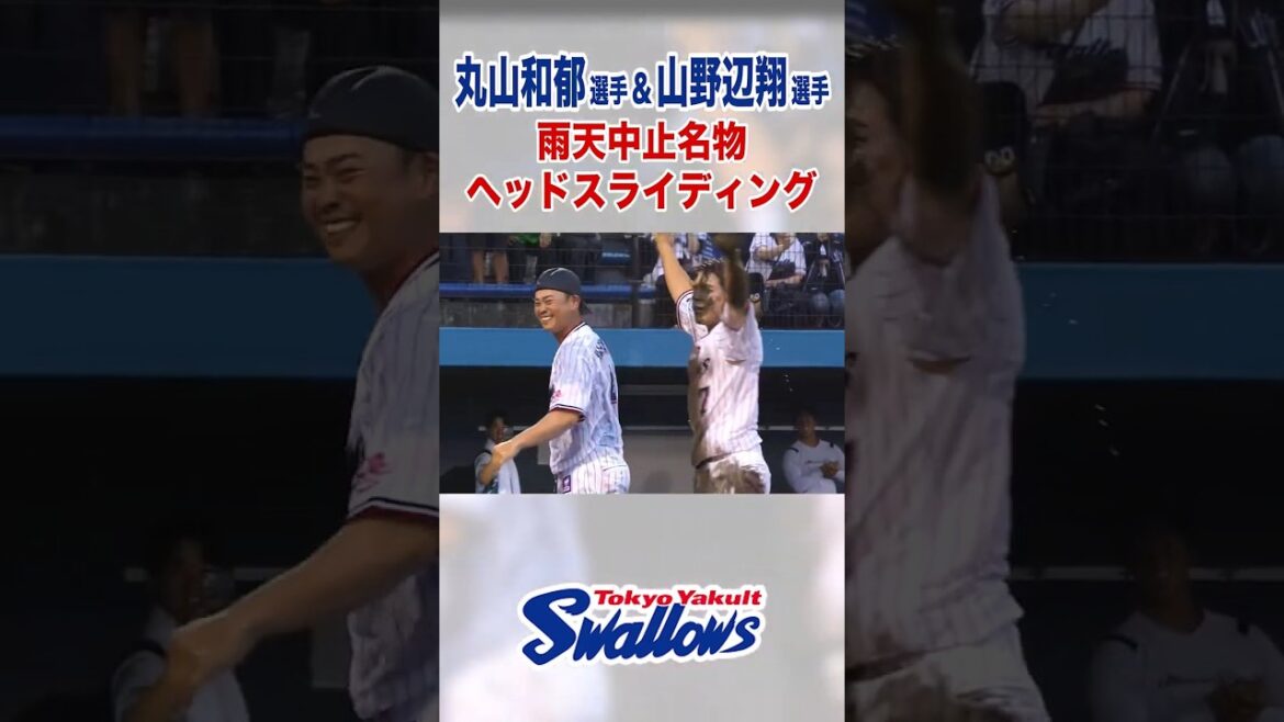 丸山和郁選手&山野辺翔選手 雨天中止名物ヘッドスライディング #swallows #丸山和郁 #山野辺翔 #shorts