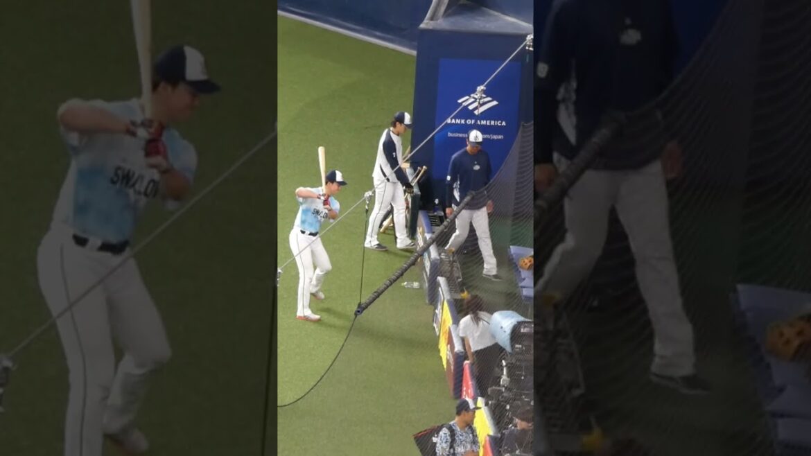 長岡 秀樹 & 大松 尚逸 ｺｰﾁ　ベンチに戻っても会話は続くよどこまでも　#東京ヤクルトスワローズ #shorts