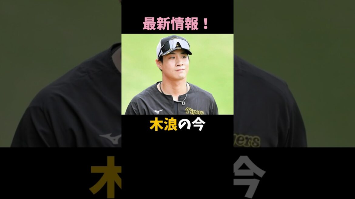 【最新情報】木浪の今!どんな状態?1軍復帰はいつ? 【最新情報】木浪の今!どんな状態?1軍復帰はいつ?
