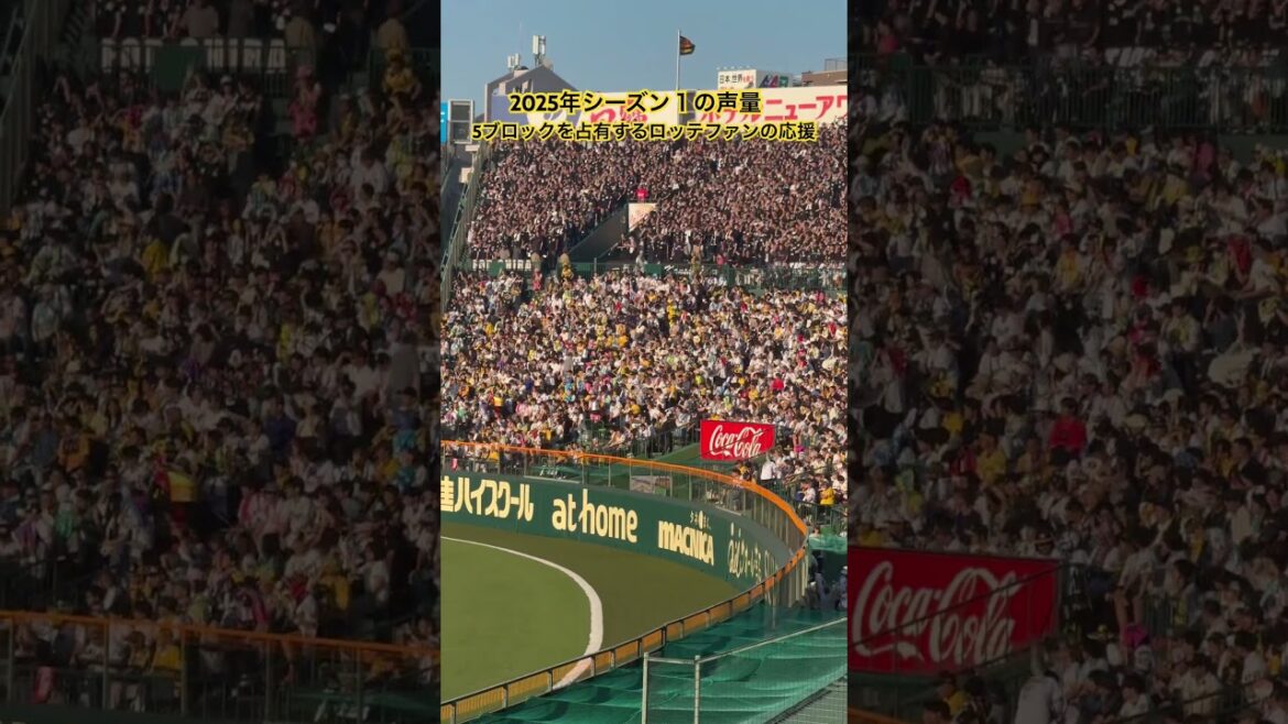 2025年シーズン１の声量 ロッテファンの甲子園での応援 #阪神タイガース #千葉ロッテマリーンズ #交流戦 #応援歌