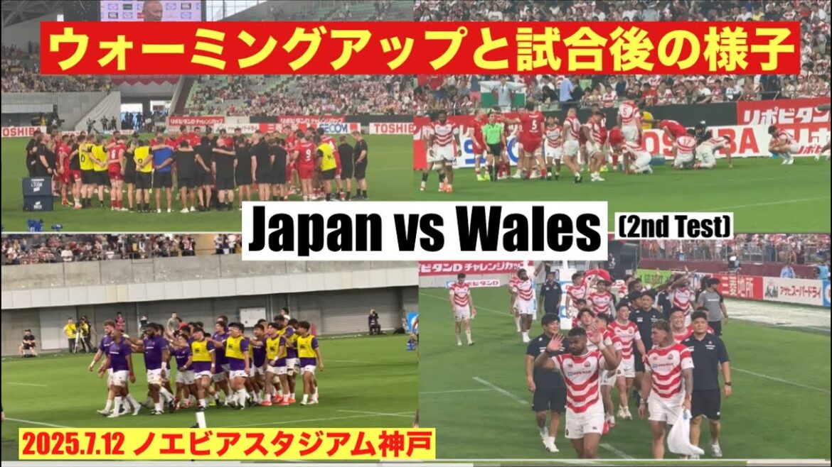 【ウォーミングアップ・試合後】日本代表 vsウェールズ代表    Japan vs Wales: Warm-Up and After the Match