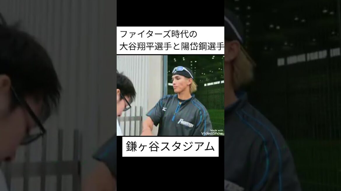 ファイターズ時代の大谷翔平選手と陽岱鋼選手 #shorts #北海道日本ハムファイターズ #fighters #日ハム