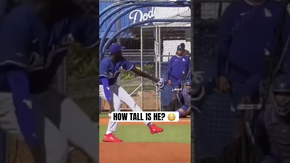 The Dodgers found a BEAST in Joseph Deng Thon 😳