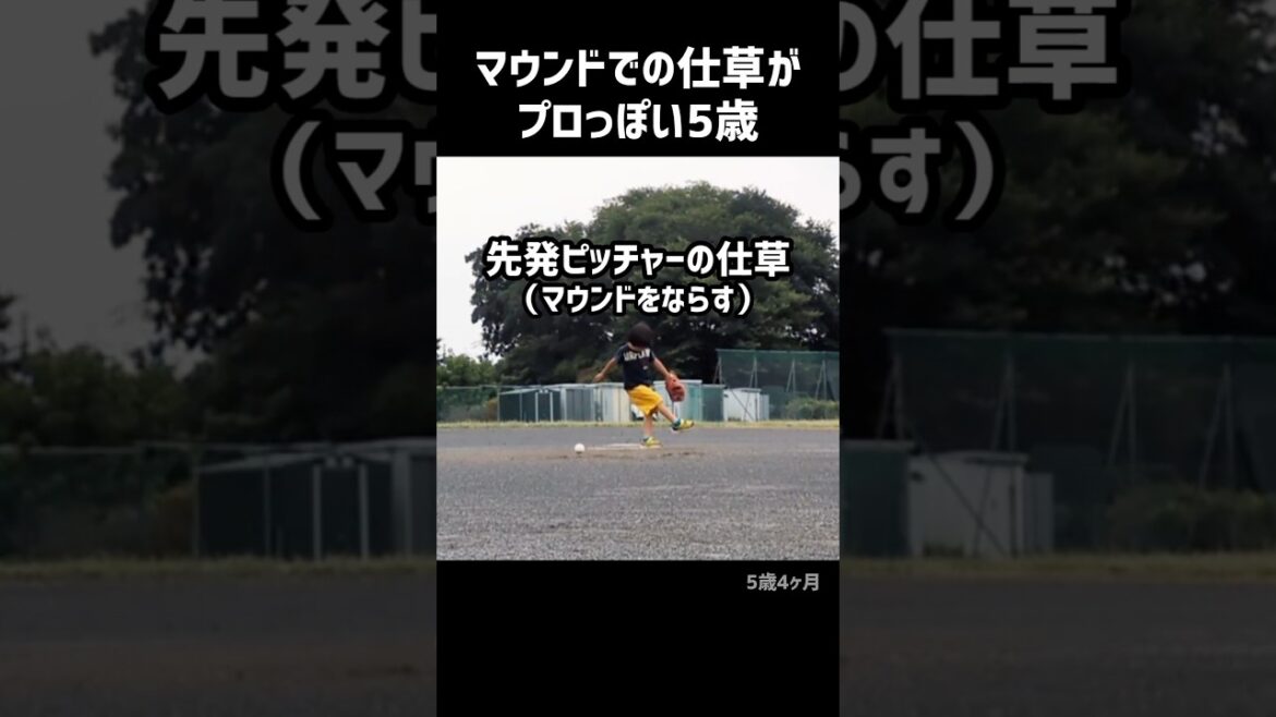 ピッチャーの動きがプロっぽい5歳