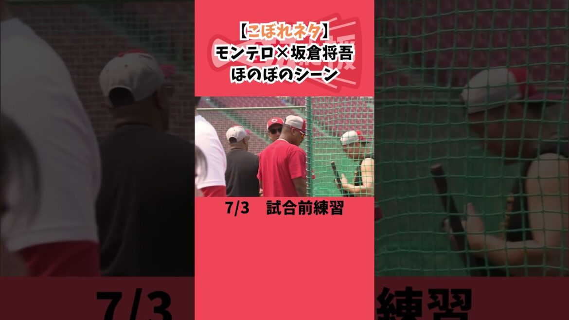 【こぼれネタ】モンテロ×坂倉将吾🔥ほのぼのシーン！【球団認定】カープ全力応援チャンネル