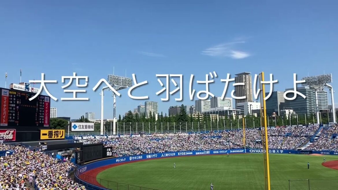 2025/6/28 ヤクルト　並木秀尊　応援歌