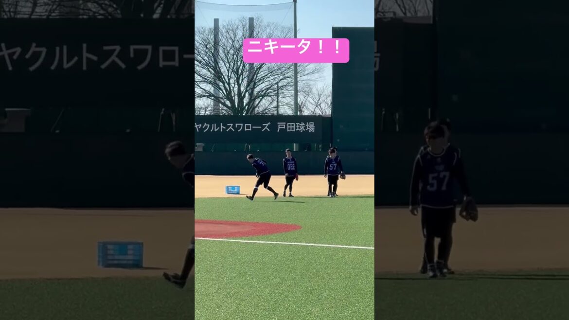 ヤクルトスワローズ新人ニキータ選手