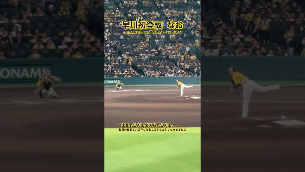 初登板 #早川太貴 #阪神タイガース #甲子園 #プロ野球
