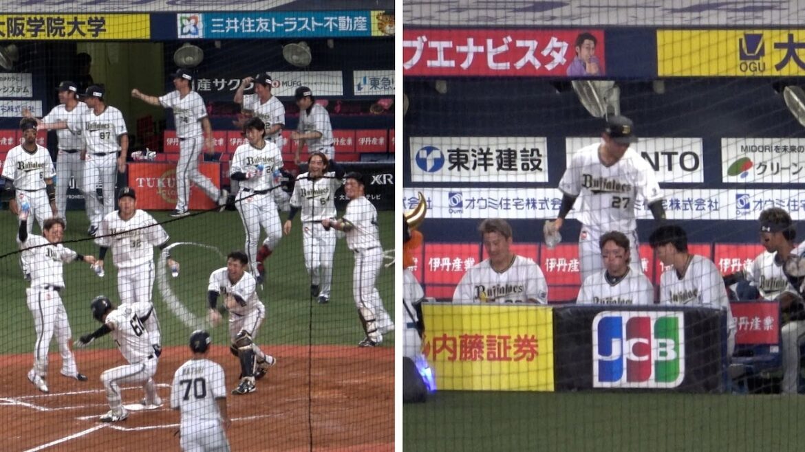 中川圭太のサヨナラ弾に飛び出すベンチ！でも戻ったあとは連日の接戦にお疲れモードの選手たち