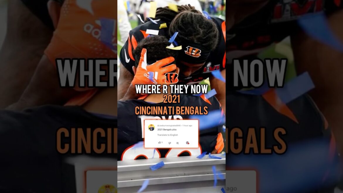 Where Are They Now: 2021 Cincinnati Bengals #cincinnatibengals #2021 #sports