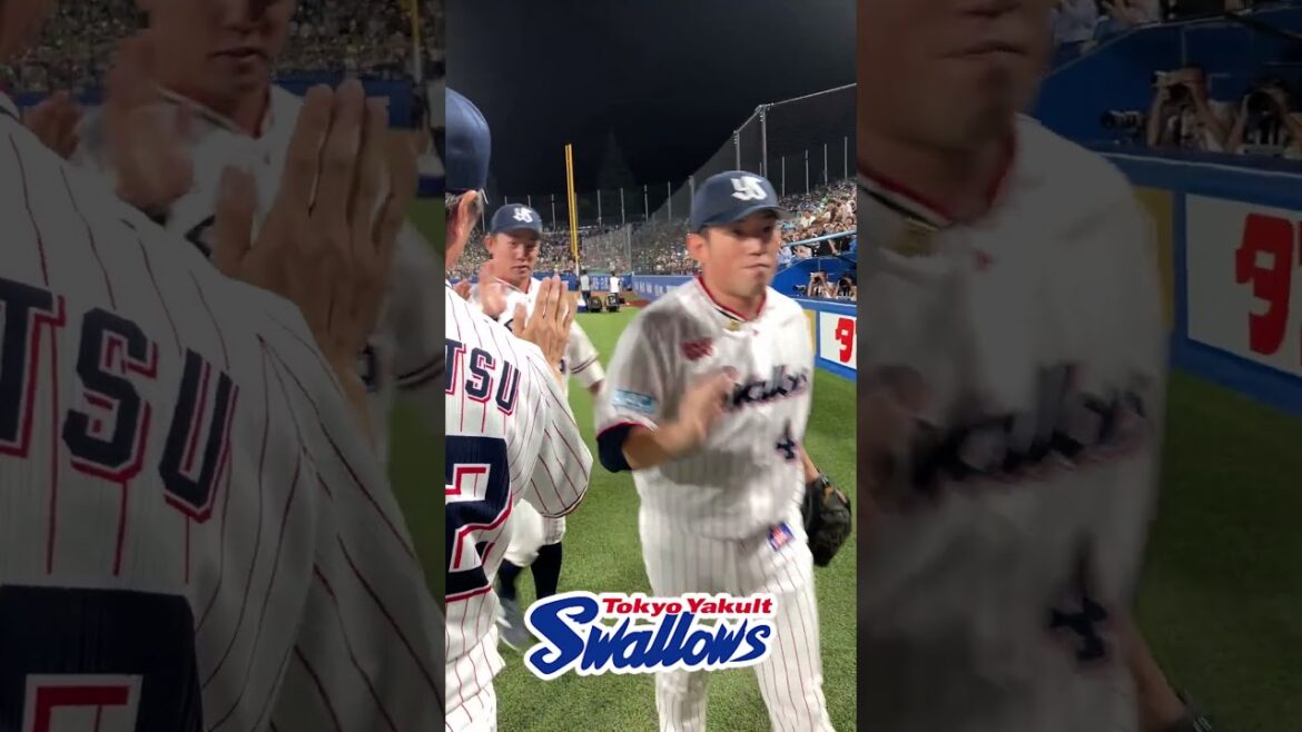 勝利後のハイタッチ　#swallows  #shorts