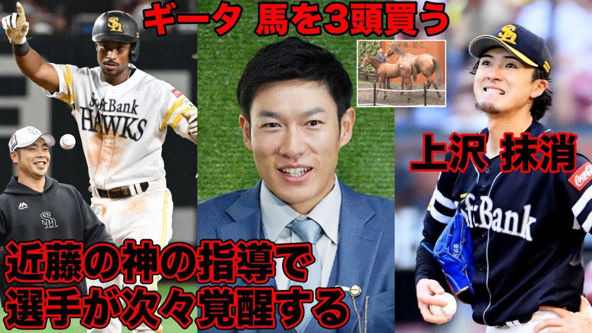 近藤健介の“神の指導”で選手が次々覚醒 / リハビリ中の柳田が数千万の馬を購入 / 上沢は遂に二軍へ。など今話題の問題についてぶった斬る【ホークス賛否】