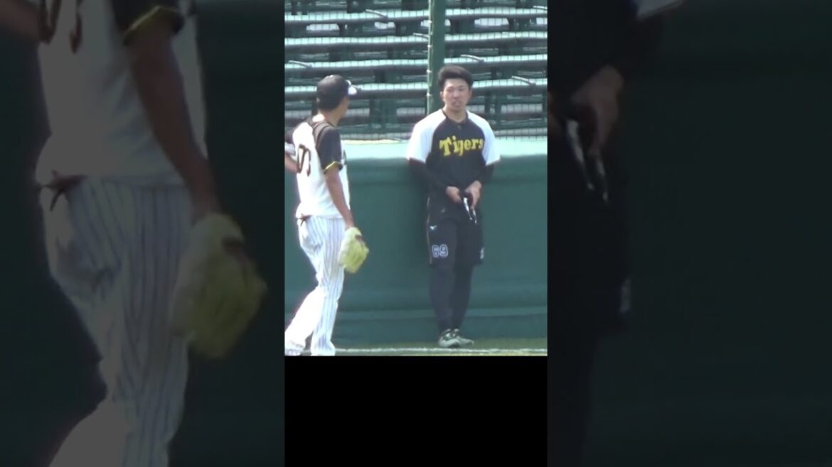 阪神 石井/桐敷/湯浅/椎葉/木下/金村コーチ 阪神 石井/桐敷/湯浅/椎葉/木下/金村コーチ