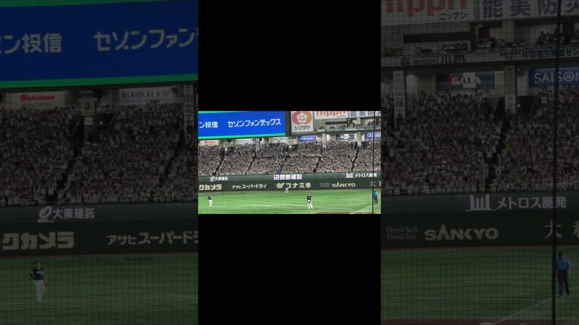 渡部聖弥 新応援歌が好きすぎる。埼玉西武ライオンズ 2025.7.14