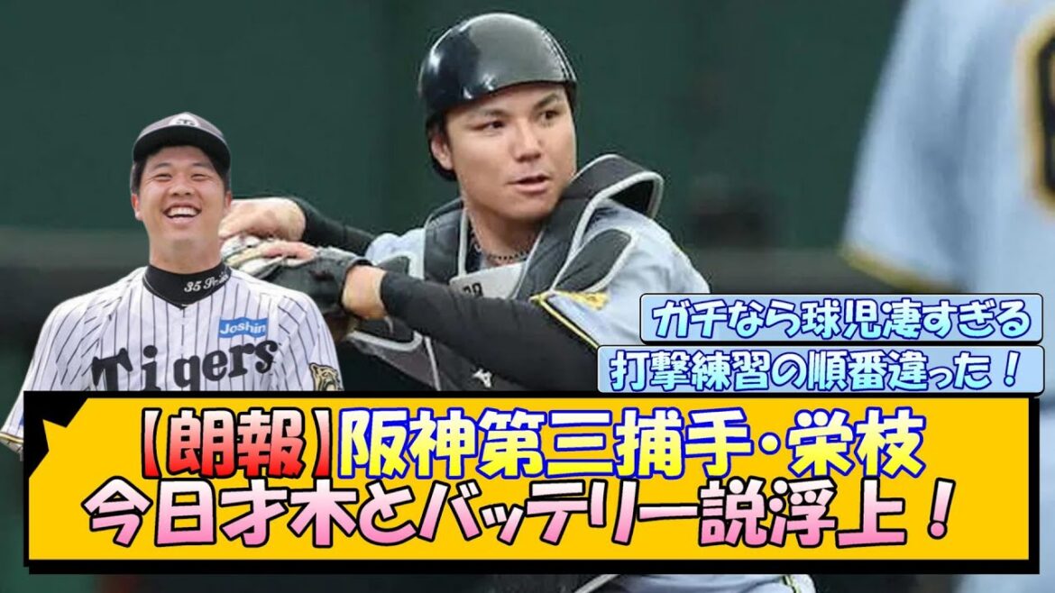 【朗報】今日の阪神、栄枝才木バッテリー説浮上！