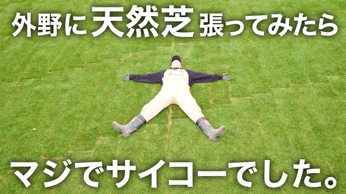 ついに芝張り作業開始！ 外野に天然芝を張ってた!!