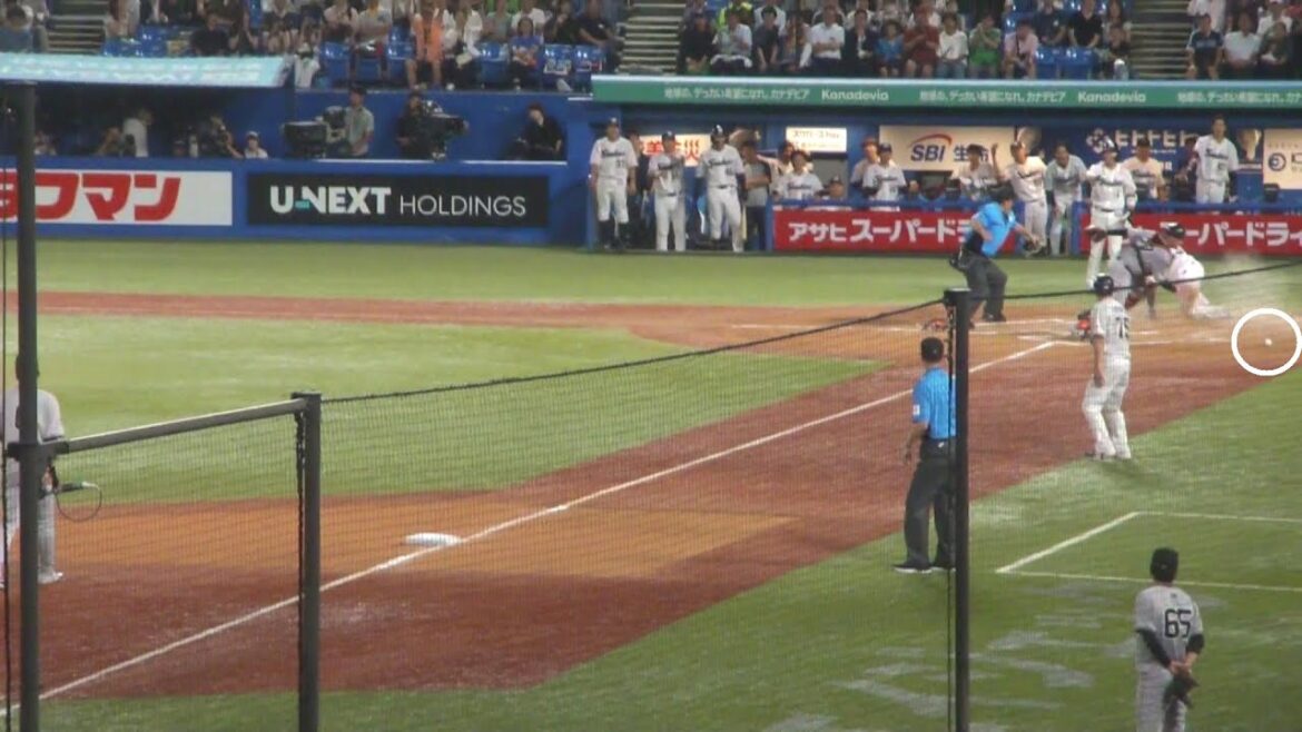 ヤクルト オスナ 同点のタイムリーヒット ヤクルト vs 巨人 2025年7月17日(木) 神宮球場 ヤクルト オスナ 同点のタイムリーヒット ヤクルト vs 巨人 2025年7月17日(木) 神宮球場