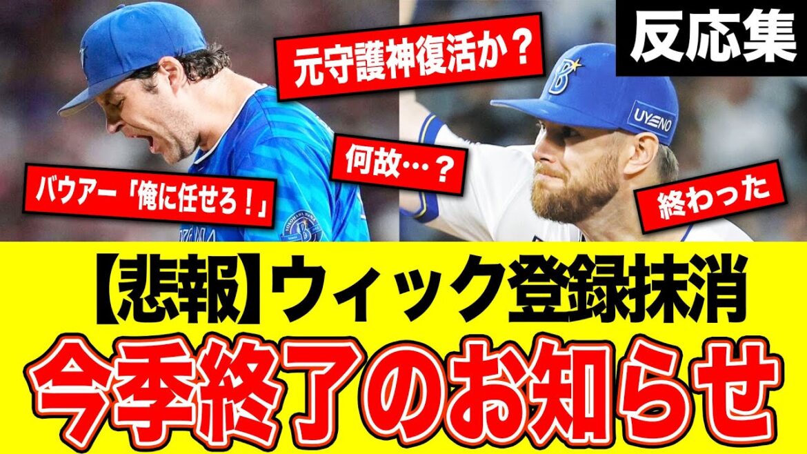 DeNAの助っ人に緊急事態発生…今後復活は？