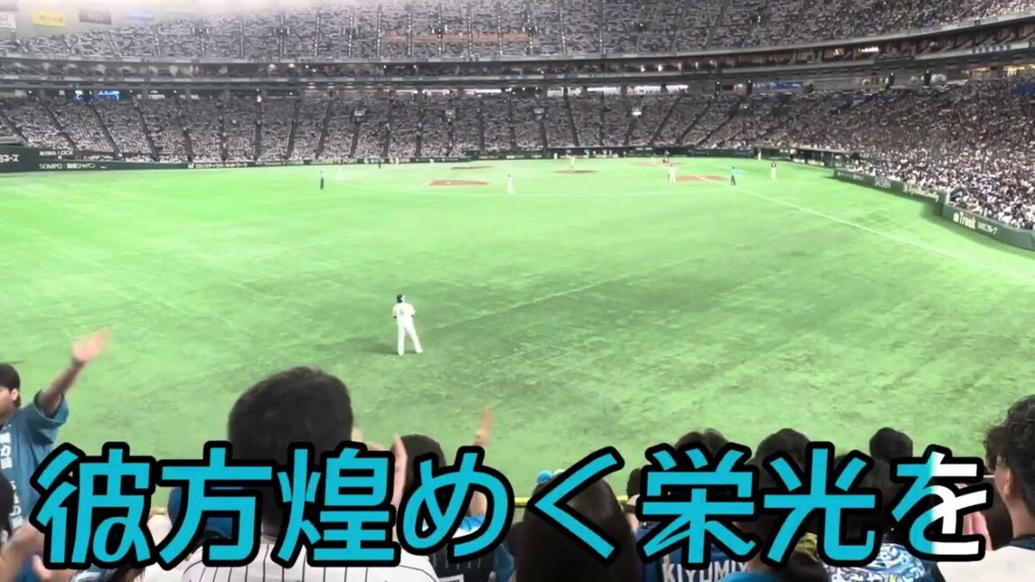 【北海道日本ハムファイターズ】水野達稀 選手応援歌 【北海道日本ハムファイターズ】水野達稀 選手応援歌