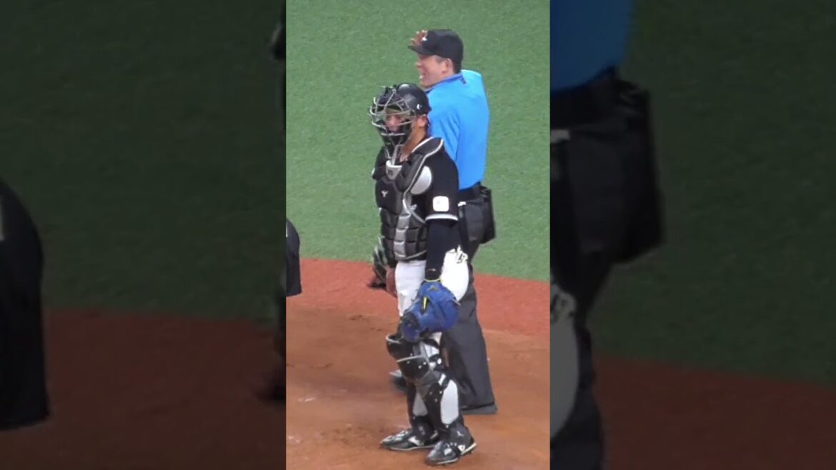 田村 龍弘　ピンチ拡大に首をかしげながら配球熟慮　#千葉ロッテマリーンズ #shorts