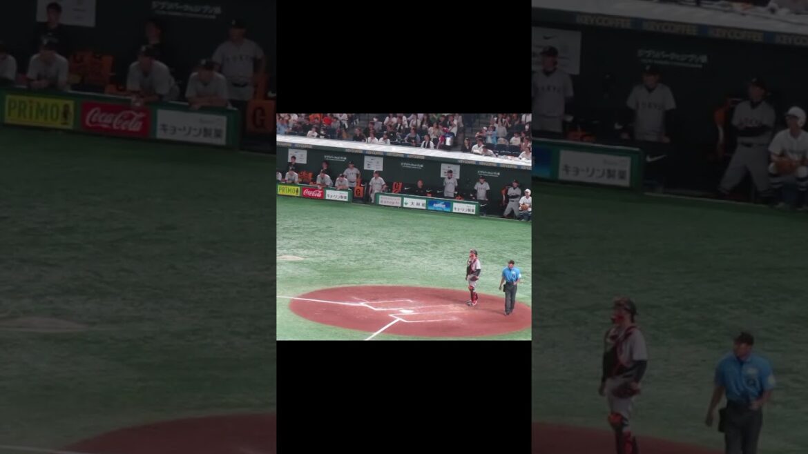 サンタナにホームラン打たれて固まる巨人ベンチ（2024年6月22日 読売ジャイアンツ対ヤクルトスワローズ）