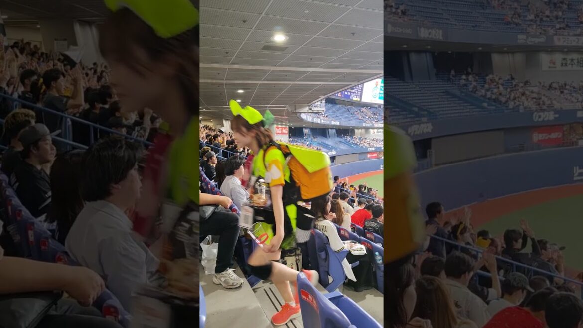 千葉ロッテ 選手別応援歌 藤岡裕大選手