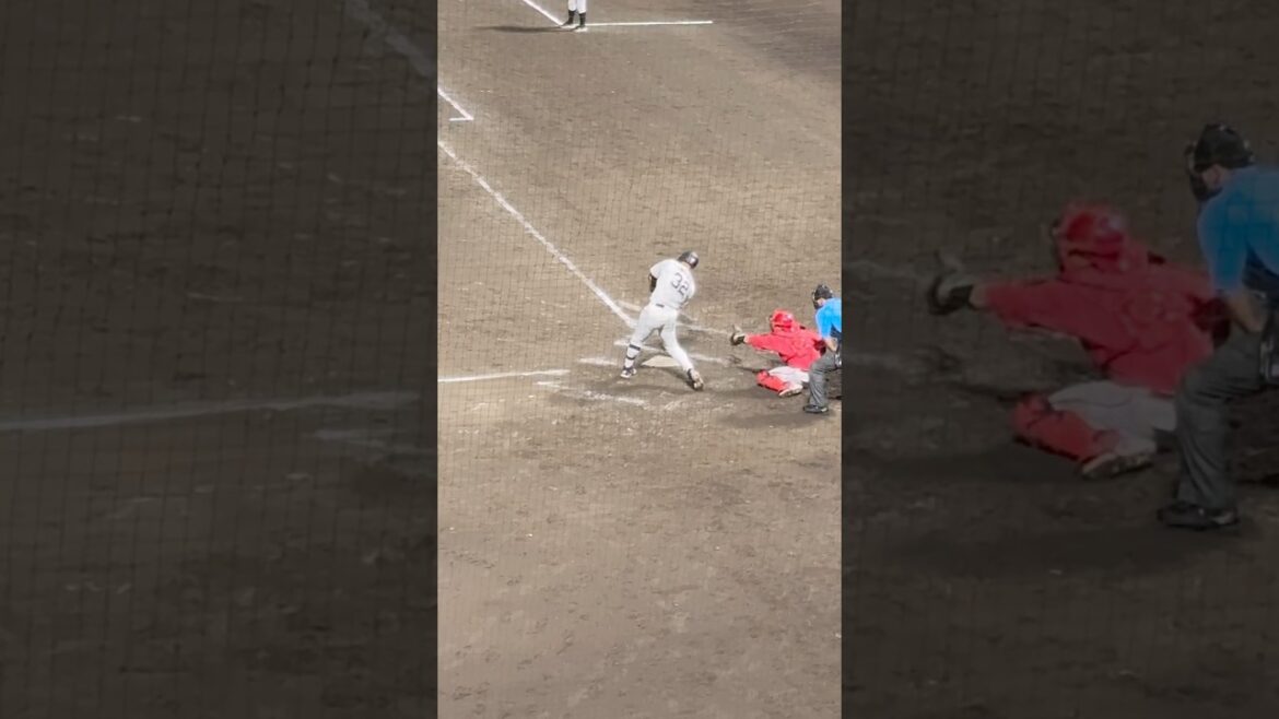 阪神タイガース 井上広大 同点タイムリースリーベース【フル動画は▶️から】